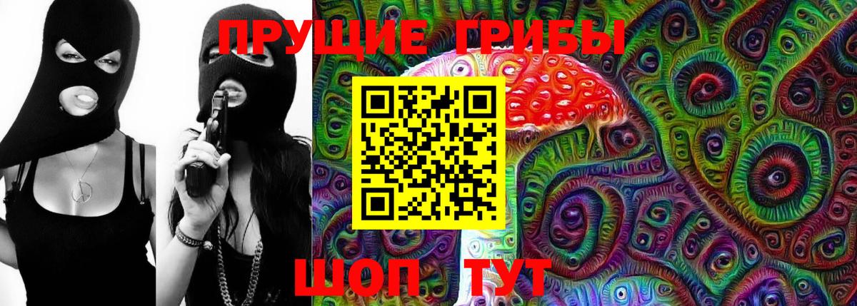 Псилоцибиновые грибы Cubensis Гусев