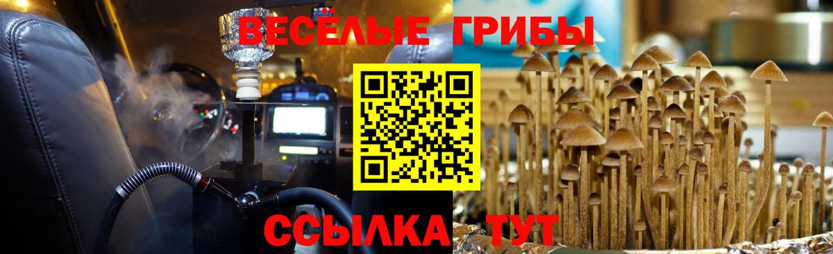 Гусев  Галлюциногенные грибы ЛСД  Вход с VPN  Галлюциногенные грибы Cubensis 
